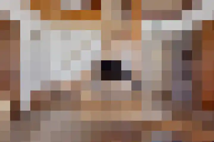 Verwersweg 30 Zorgvlied thumbnail 10