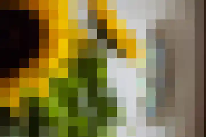 Verwersweg 30 Zorgvlied thumbnail 11