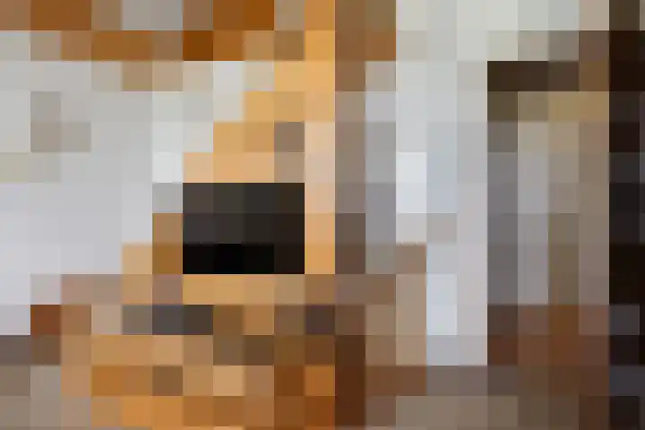 Verwersweg 30 Zorgvlied thumbnail 12