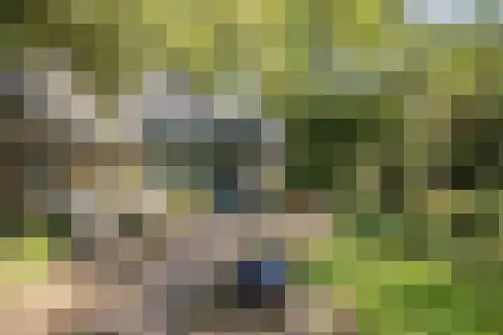 Verwersweg 30 Zorgvlied foto 2