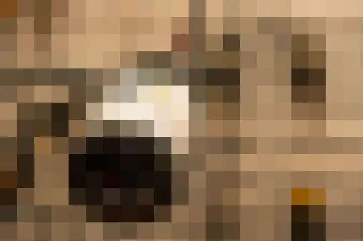 Verwersweg 30 Zorgvlied thumbnail 28