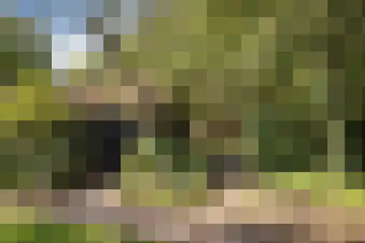 Verwersweg 30 Zorgvlied thumbnail 29
