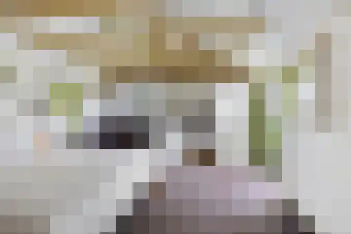 Verwersweg 30 Zorgvlied thumbnail 31