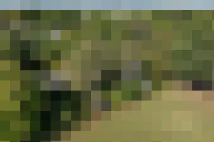 Verwersweg 30 Zorgvlied thumbnail 36