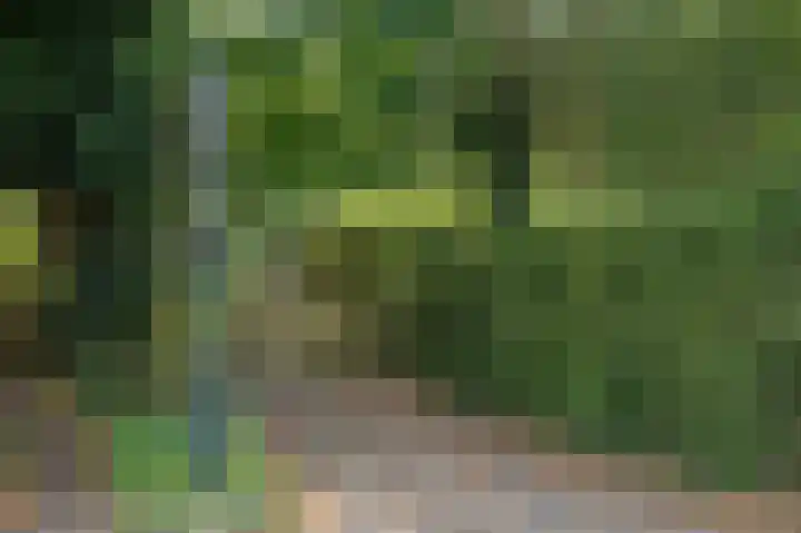 Verwersweg 30 Zorgvlied thumbnail 37