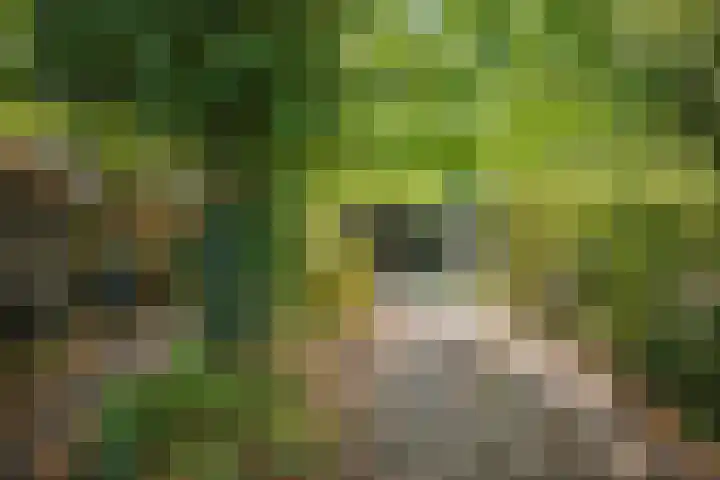 Verwersweg 30 Zorgvlied thumbnail 38