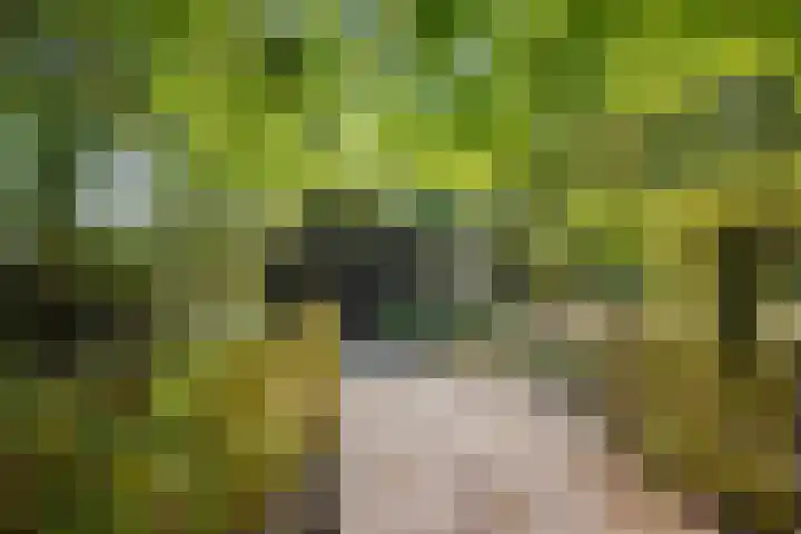Verwersweg 30 Zorgvlied thumbnail 39