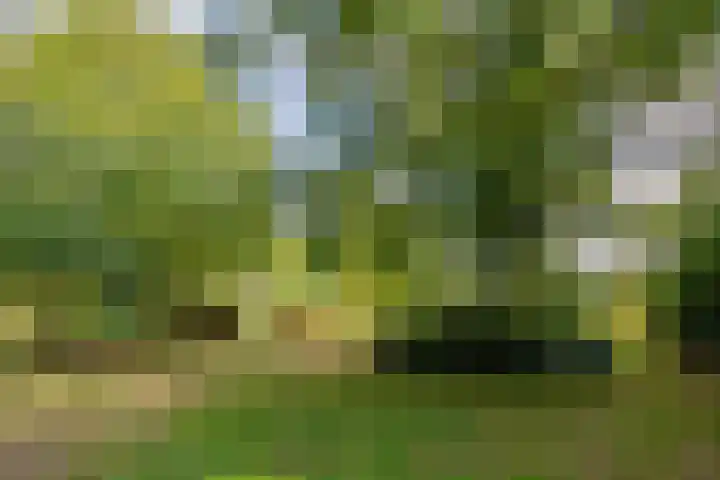Verwersweg 30 Zorgvlied thumbnail 40
