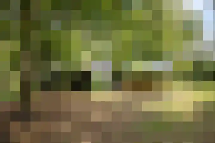 Verwersweg 30 Zorgvlied thumbnail 41