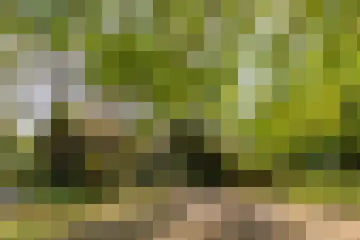 Verwersweg 30 Zorgvlied thumbnail 42
