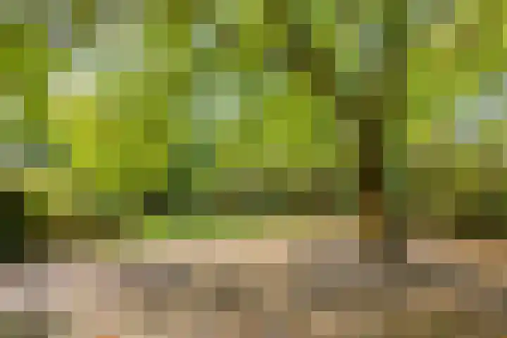 Verwersweg 30 Zorgvlied thumbnail 43