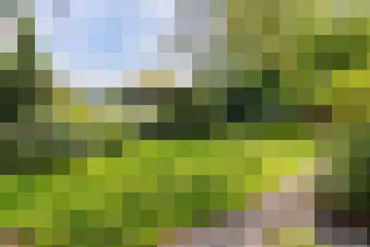 Verwersweg 30 Zorgvlied thumbnail 44