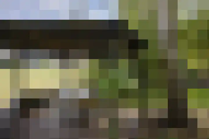 Verwersweg 30 Zorgvlied thumbnail 45