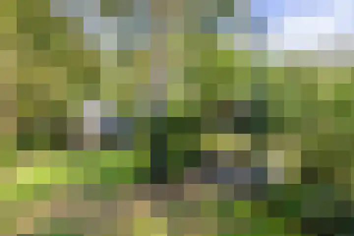 Verwersweg 30 Zorgvlied thumbnail 46