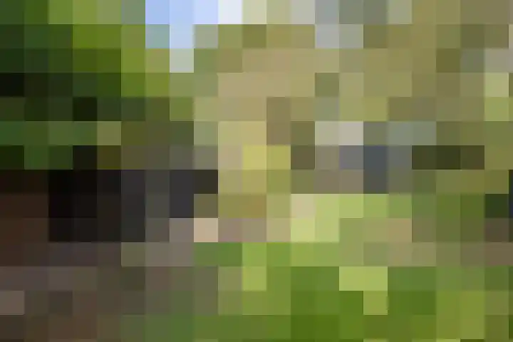 Verwersweg 30 Zorgvlied thumbnail 47