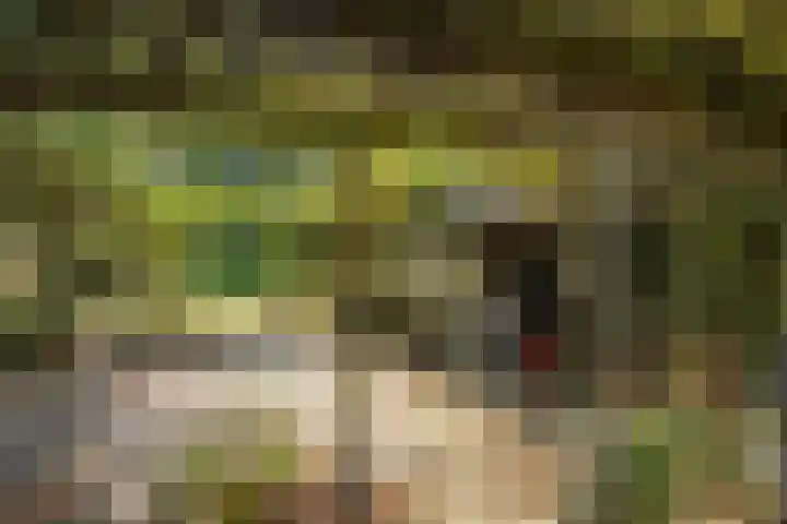 Verwersweg 30 Zorgvlied thumbnail 48