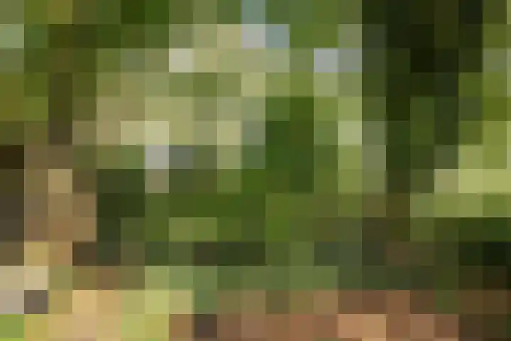 Verwersweg 30 Zorgvlied thumbnail 49