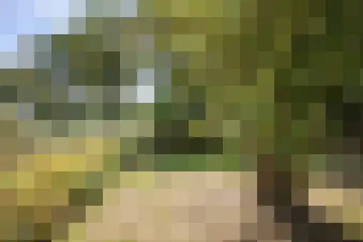 Verwersweg 30 Zorgvlied thumbnail 50