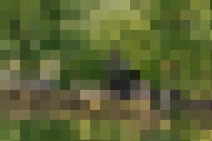 Verwersweg 30 Zorgvlied thumbnail 51