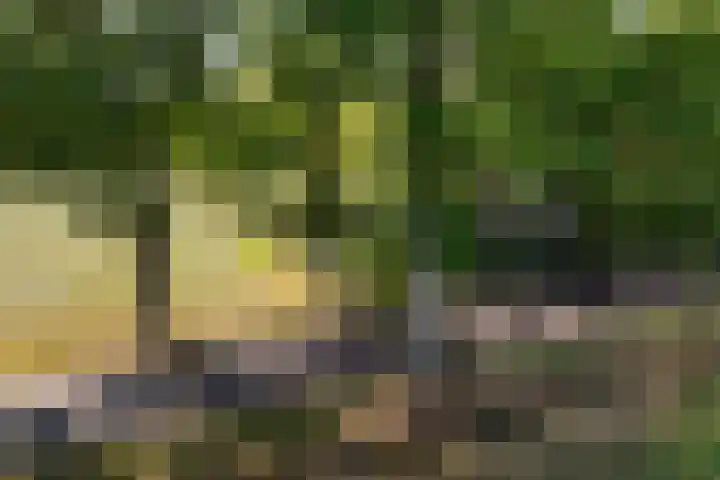 Verwersweg 30 Zorgvlied thumbnail 52