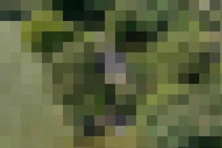 Verwersweg 30 Zorgvlied thumbnail 53