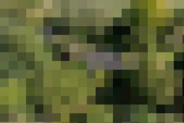 Verwersweg 30 Zorgvlied thumbnail 54