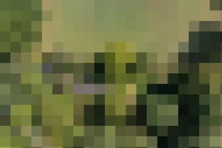 Verwersweg 30 Zorgvlied thumbnail 55