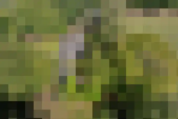 Verwersweg 30 Zorgvlied thumbnail 56