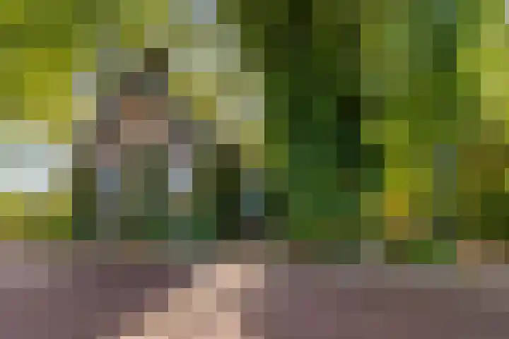 Verwersweg 30 Zorgvlied thumbnail 6