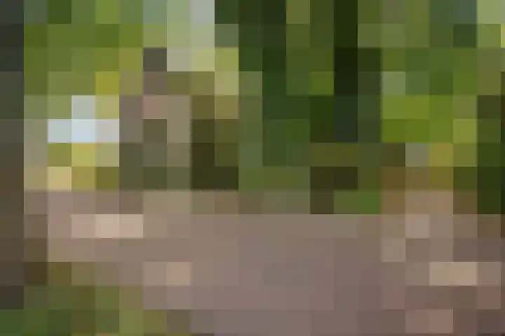 Verwersweg 30 Zorgvlied thumbnail 7