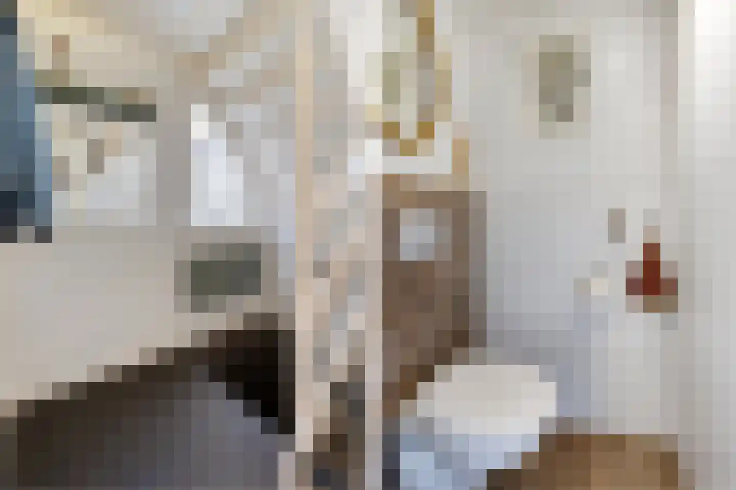 Verwestraat 12 a Sint-Oedenrode thumbnail 17