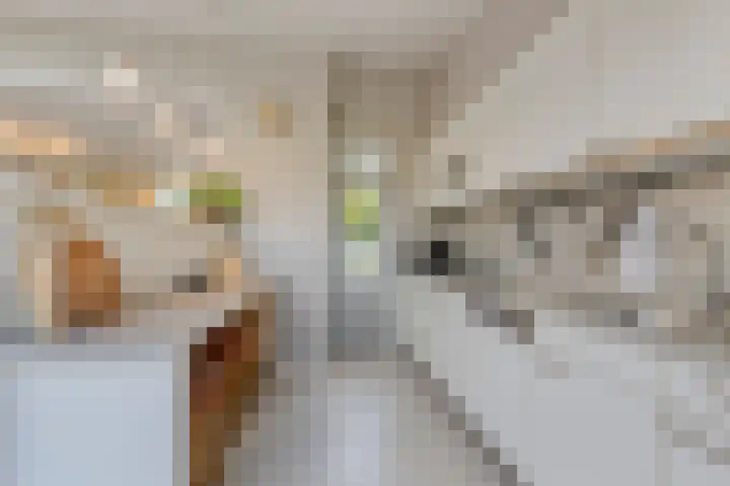Verwestraat 12 a Sint-Oedenrode thumbnail 25