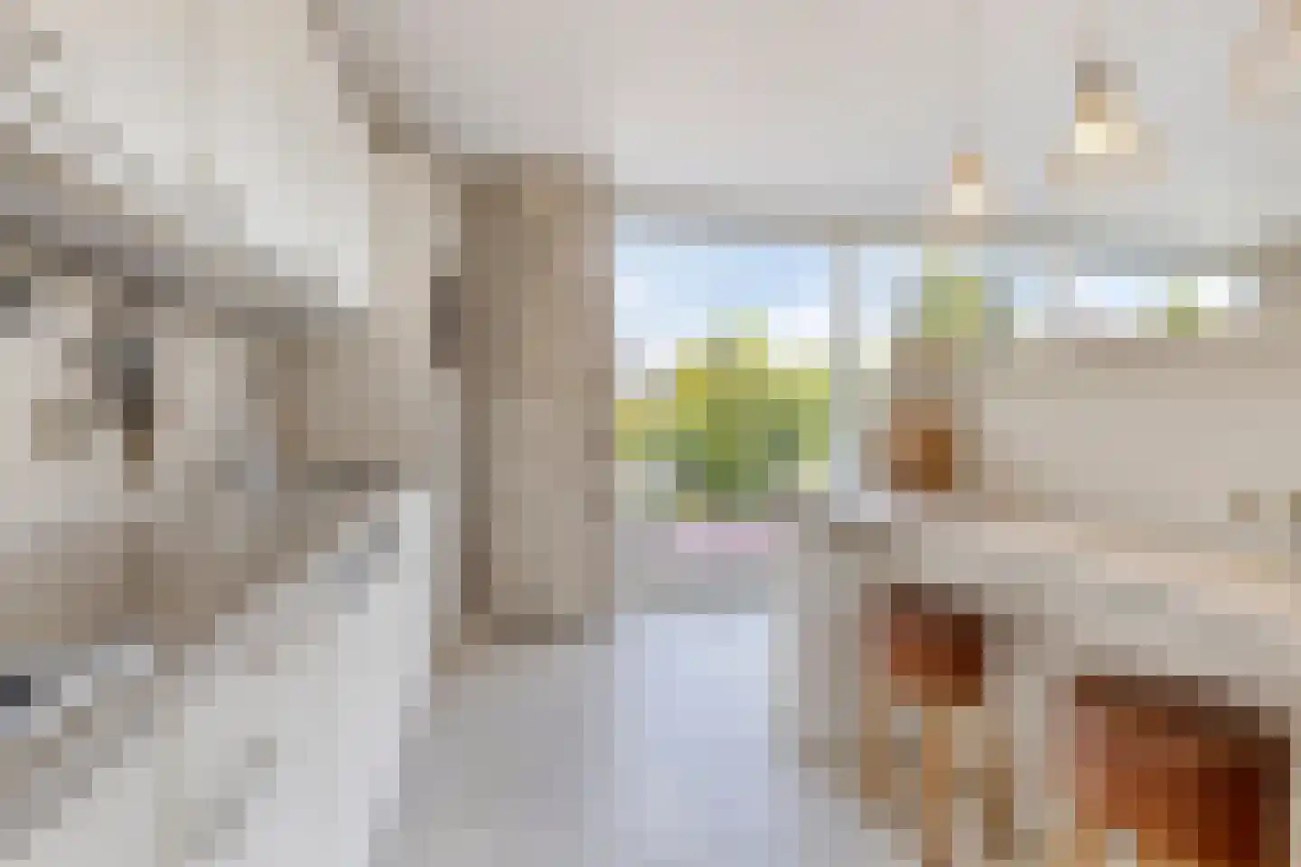 Verwestraat 12 a Sint-Oedenrode thumbnail 26