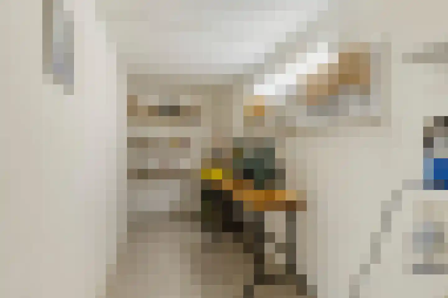 Verwestraat 12 a Sint-Oedenrode thumbnail 48