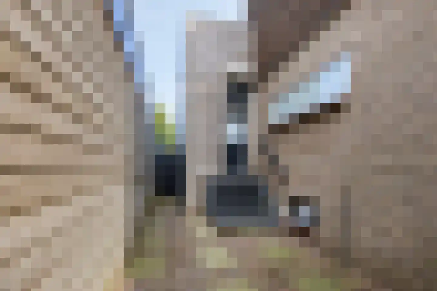 Verwestraat 12 a Sint-Oedenrode thumbnail 58