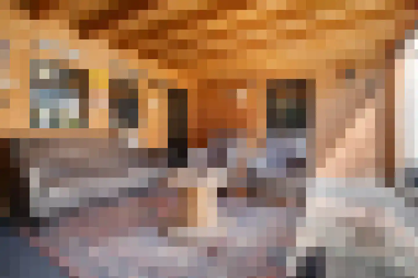 Verwestraat 33 Sint-Oedenrode thumbnail 30