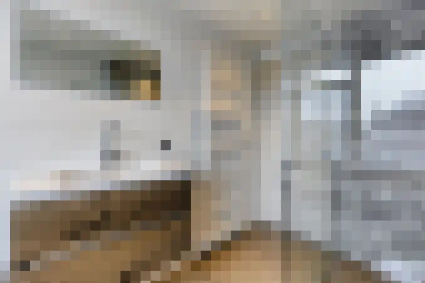 Verwestraat 35 Sint-Oedenrode thumbnail 26