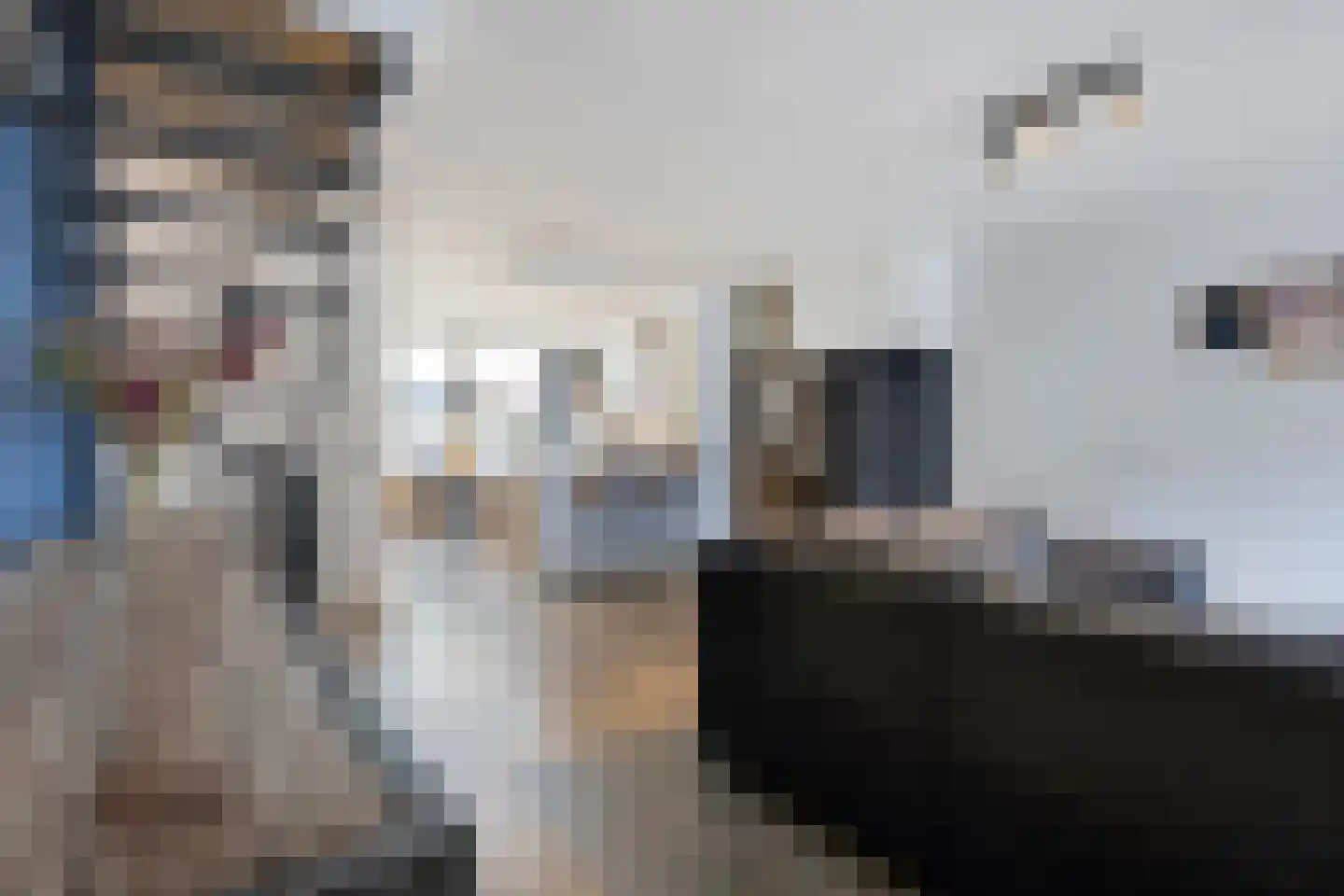 Verwestraat 35 Sint-Oedenrode thumbnail 7