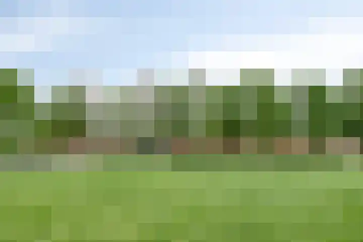 Verwestraat 8 b Sint-Oedenrode thumbnail 41