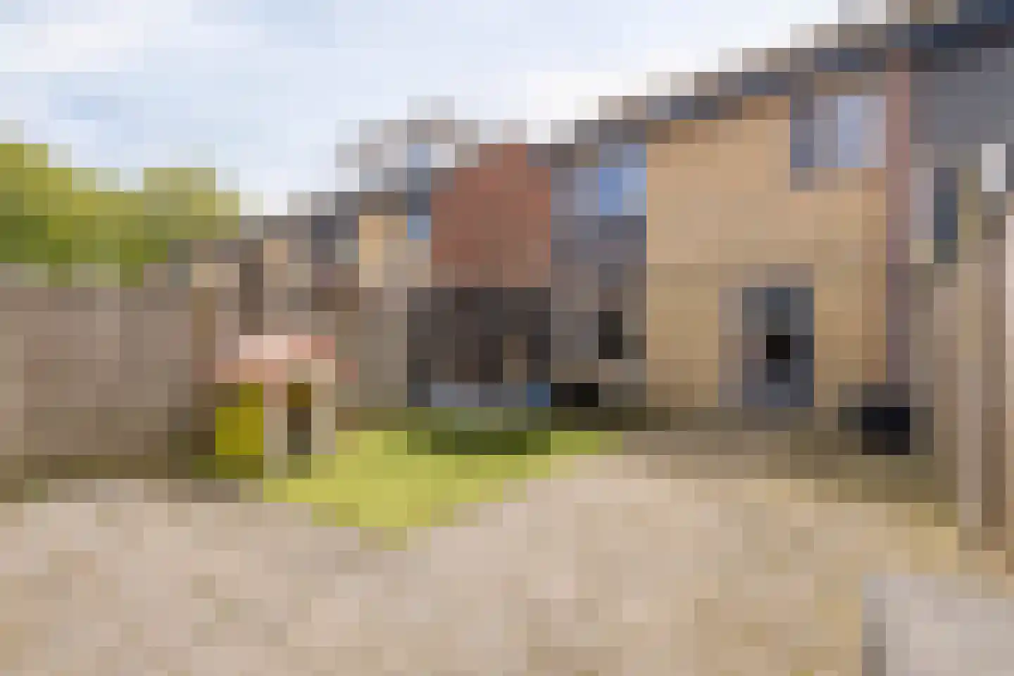Verweylaan 10 Roosendaal thumbnail 30