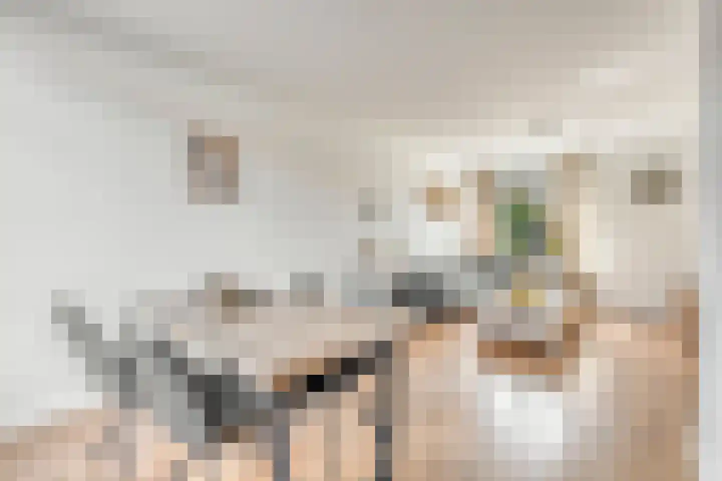 Verweylaan 10 Roosendaal thumbnail 8