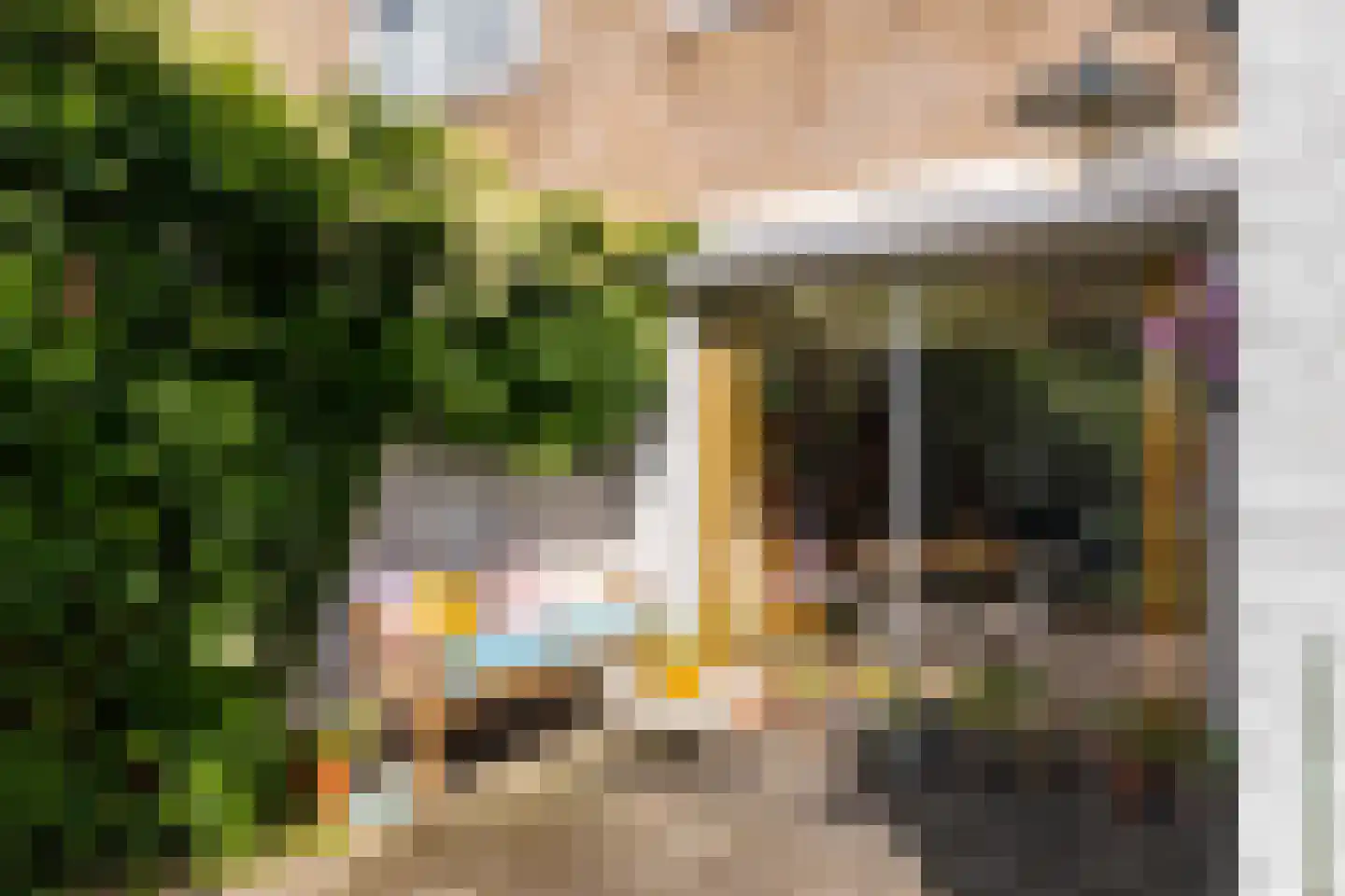 Verweylaan 18 Haren Gn thumbnail 17