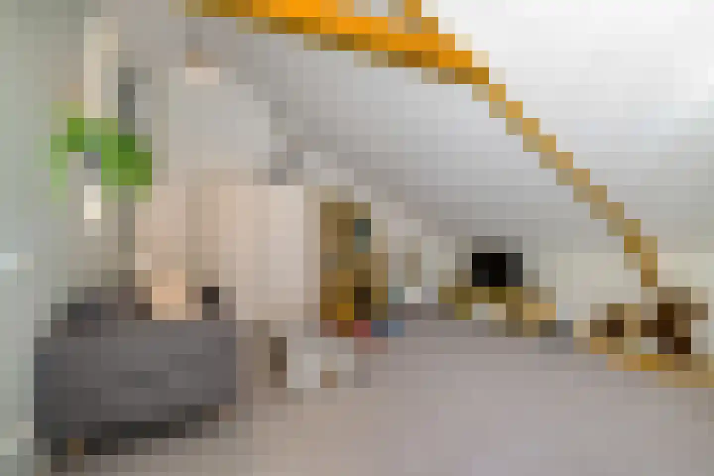 Verweylaan 18 Haren Gn thumbnail 33