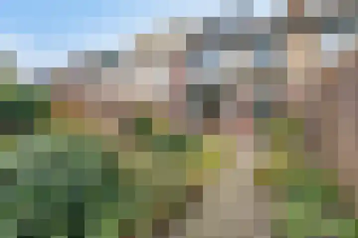 Verweylaan 35 Roosendaal thumbnail 31