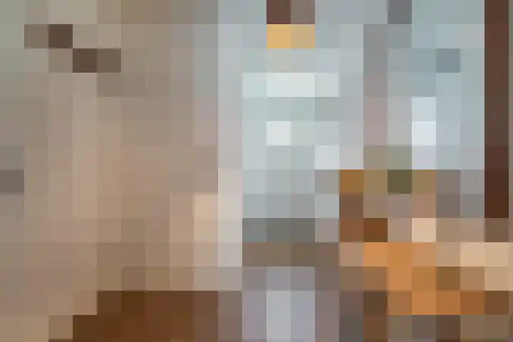 Verwierdelaan 3 Veenendaal thumbnail 19