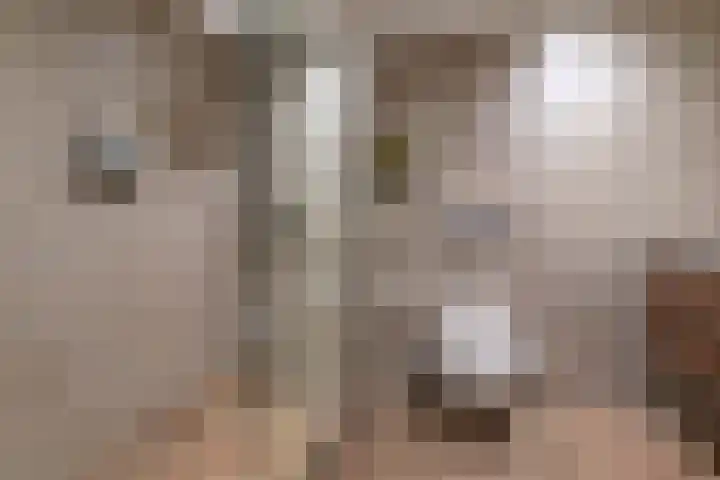 Verwierdelaan 3 Veenendaal thumbnail 29