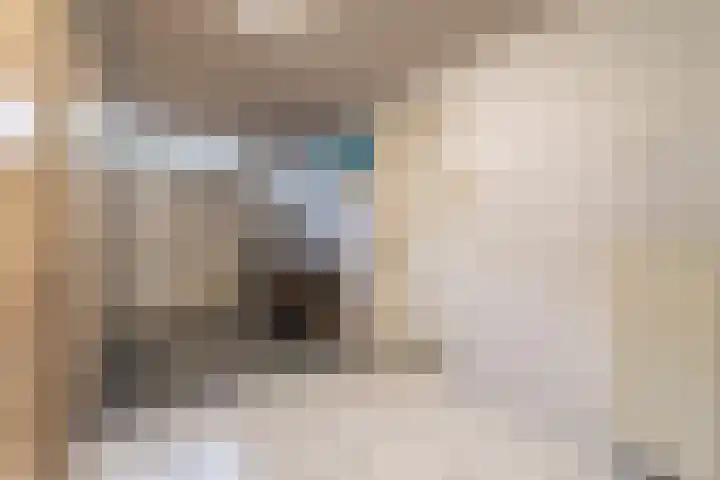 Verwierdelaan 3 Veenendaal thumbnail 35