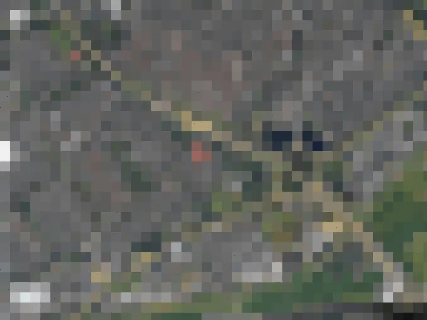 Verwoldelaan 22 G Arnhem thumbnail 7