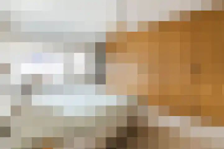 Verwoldelaan 28 Arnhem thumbnail 21
