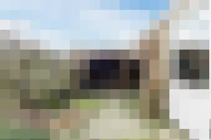 Verwoldelaan 28 Arnhem thumbnail 45